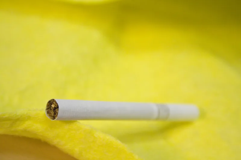 B1 Espaces sans-tabac devant les collèges